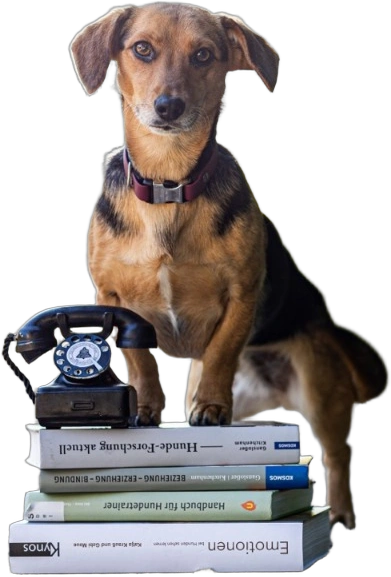 Atelier-Hund mit Vintage-Telefon
